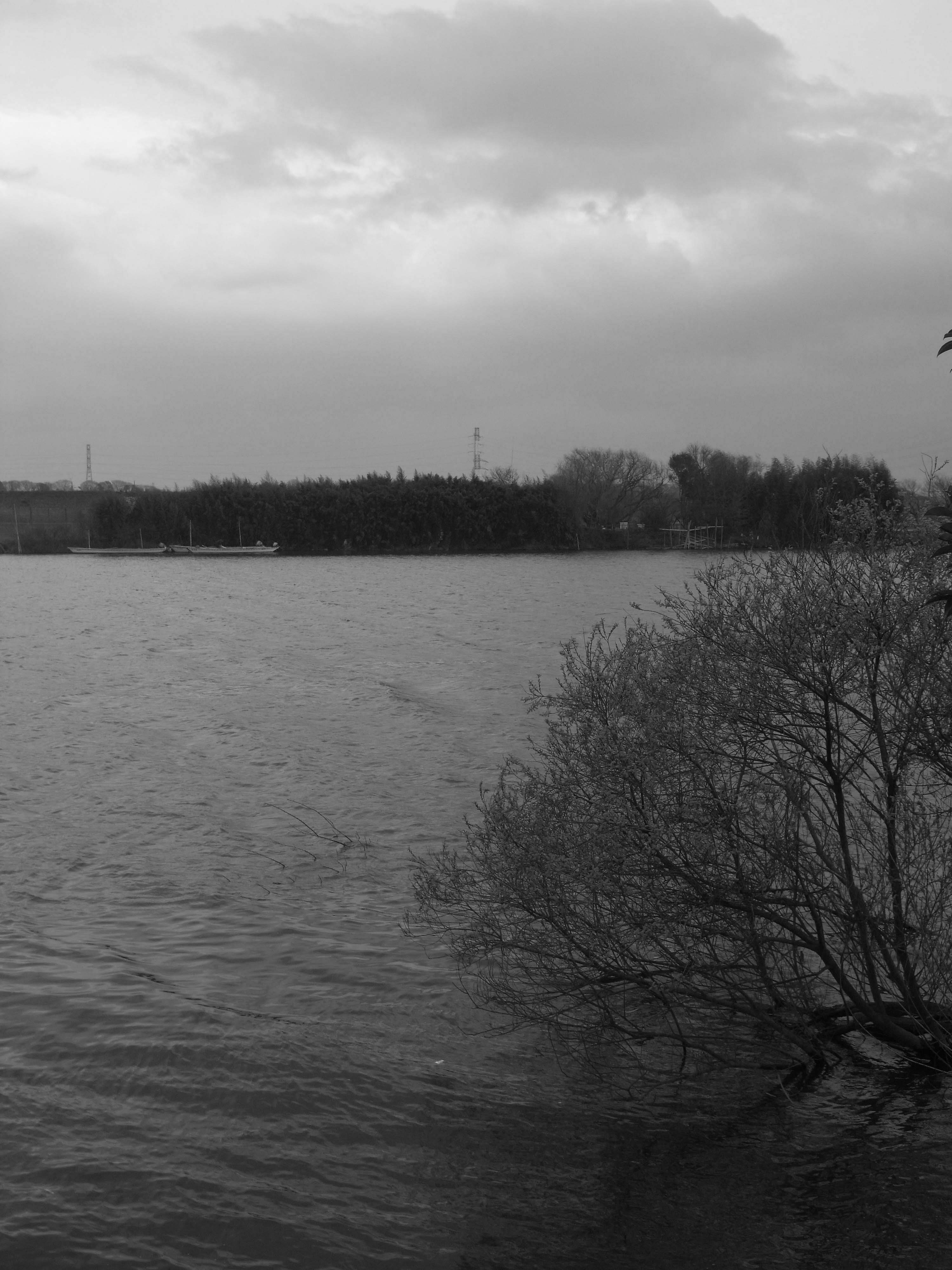 東京　江戸川　柴又