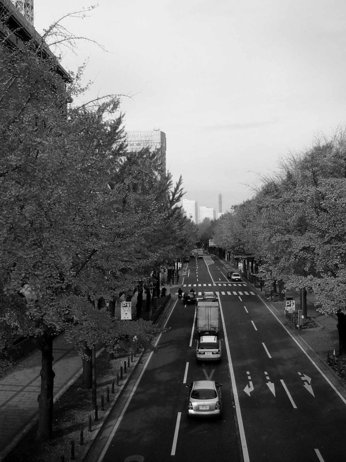 横浜市内