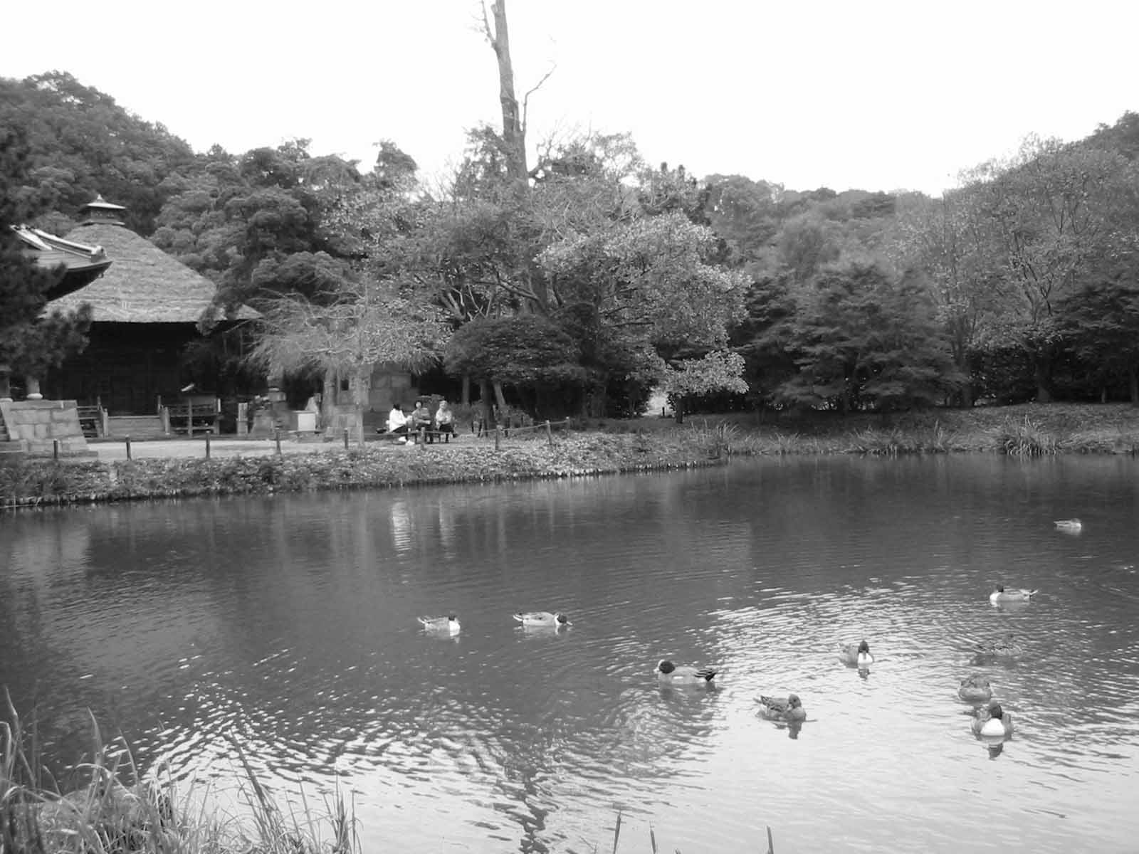 称名寺　横浜
